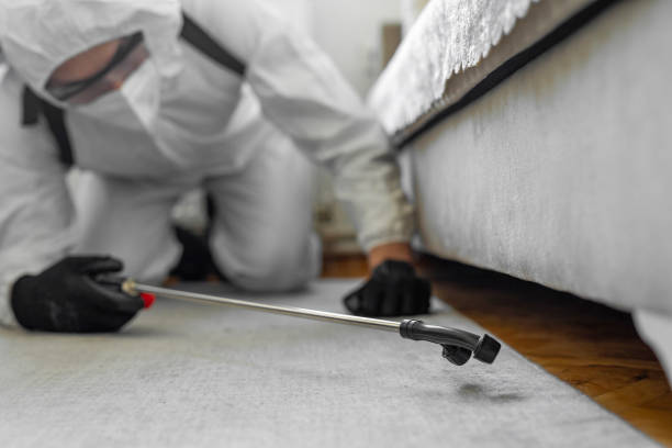 Professional Pest Control technician working in La Palma, CA