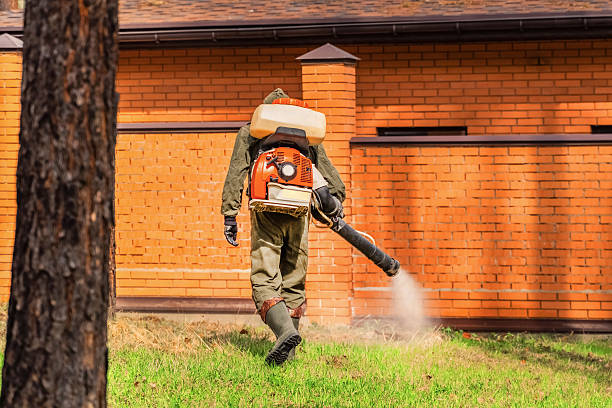 Trusted Ant Control service in La Palma, CA - Nex Pest Control
